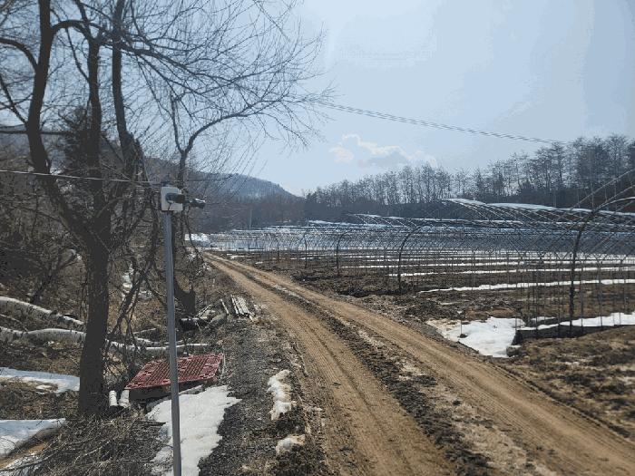 강원특별자치도 평창군 대관령면 횡계리 71-7 법원경매 물건 대표사진