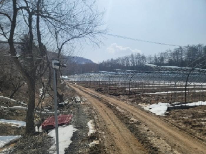 법원경매 2025타경30368 사진10 | 평창군 대관령면 횡계리 71-7 전 경매