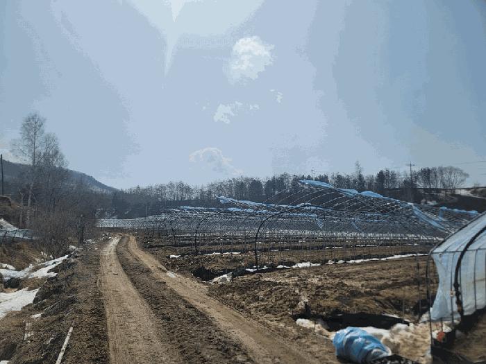 법원경매 2025타경30368 사진11 | 평창군 대관령면 횡계리 71-7 전 경매