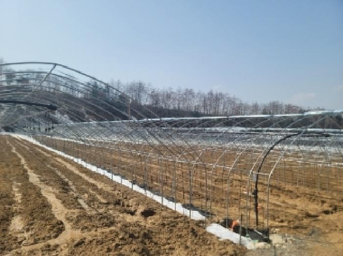 법원경매 2025타경30368 사진7 | 평창군 대관령면 횡계리 71-7 전 경매