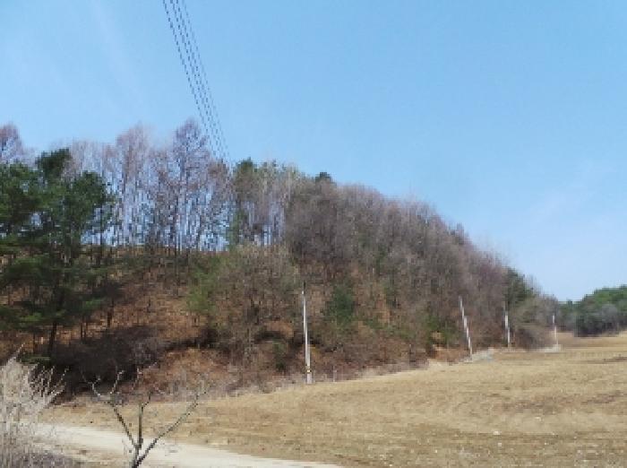 법원경매 2025타경30393 사진2 | 평창군 봉평면 창동리 임야 경매