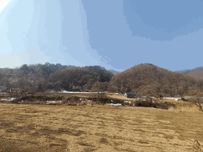법원경매 2025타경30395 사진2 | 평창군 용평면 노동리 임야 경매