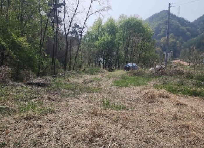 2025타경66 법원경매 사진4 | 충북 옥천군 전 경매