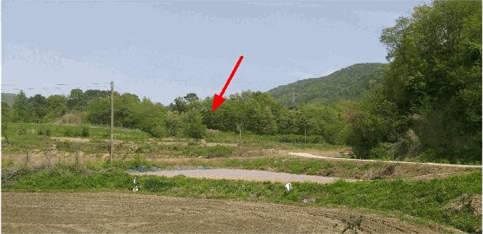 2025타경72 법원경매 사진5 | 충북 옥천군 전 경매
