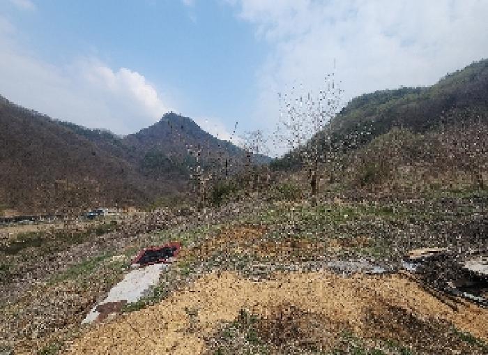 2025타경10117 법원경매 사진5 | 충북 영동군 기타 경매