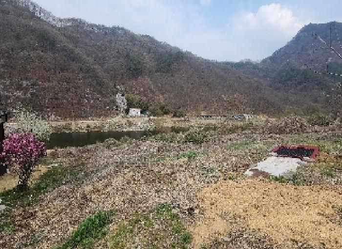 2025타경10117 법원경매 사진7 | 충북 영동군 기타 경매