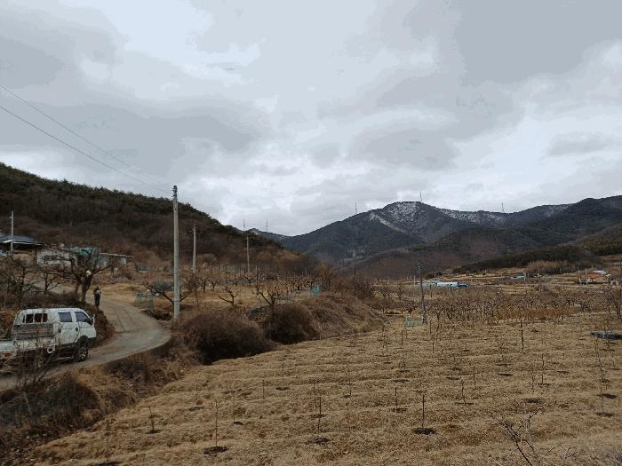 법원경매 2025타경7319 사진4 | 청도군 풍각면 화산리 37 답 경매