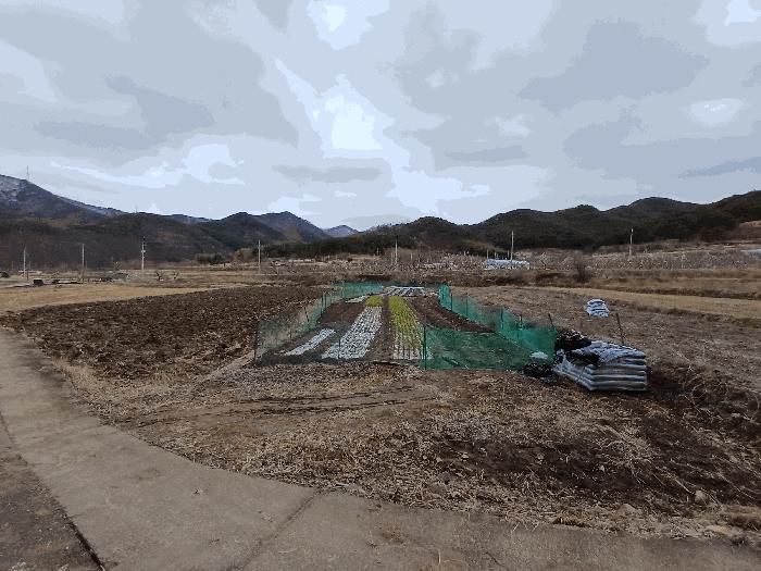 법원경매 2025타경7319 사진6 | 청도군 풍각면 화산리 37 답 경매