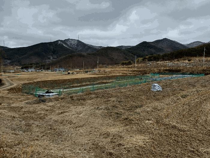 경북 청도군 풍각면 화산리 689 과수원 사진 5