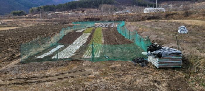 2025타경7319 법원경매 사진7 | 경북 청도군 과수원 경매