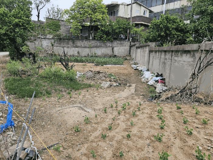 법원경매 2025타경7832 사진7 | 칠곡군 왜관읍 왜관리 324-6 주택건물 경매