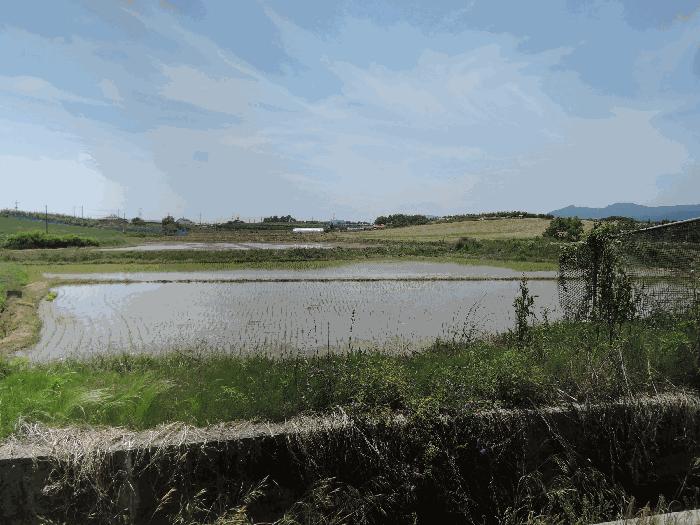 2025타경15749 법원경매 사진3 | 충남 예산군 답 경매