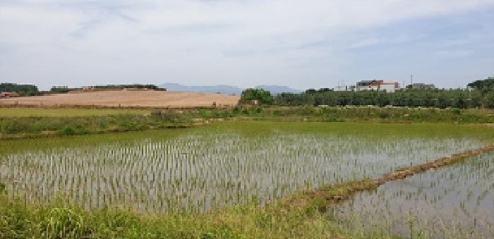 2025타경15749 법원경매 사진5 | 충남 예산군 답 경매