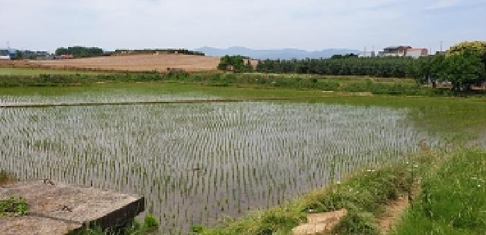 2025타경15749 법원경매 사진6 | 충남 예산군 답 경매