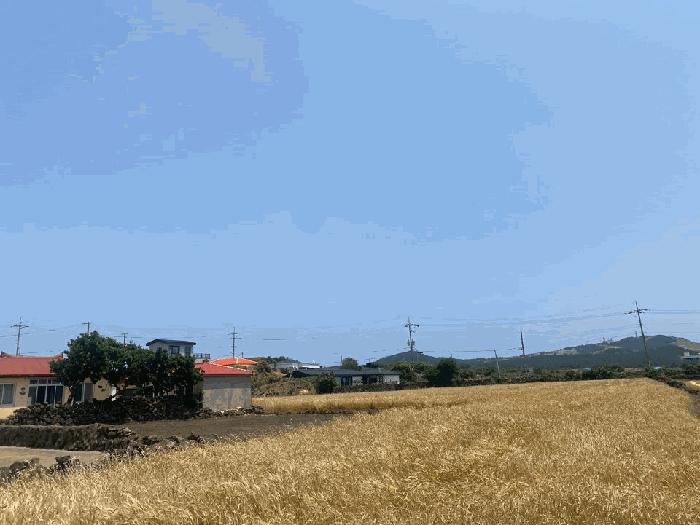 2025타경1207 법원경매 사진3 | 제주 제주시 전 경매