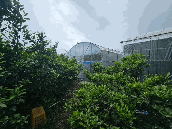 2025타경1222 법원경매 사진4 | 제주 서귀포시 전 경매
