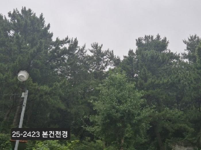 법원경매 2025타경2423 사진7 | 부산 사하구 당리동 534-11 임야 경매