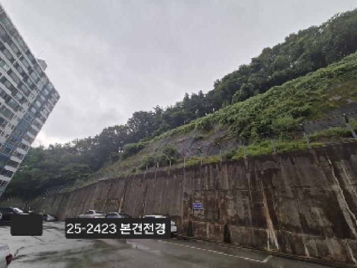 법원경매 2025타경2423 사진8 | 부산 사하구 당리동 534-11 임야 경매