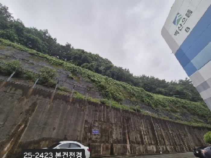 법원경매 2025타경2423 사진9 | 부산 사하구 당리동 534-11 임야 경매