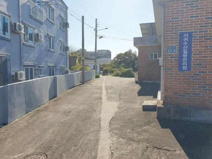 2024타경12967 법원경매 사진3 | 제주 서귀포시 단독주택 경매