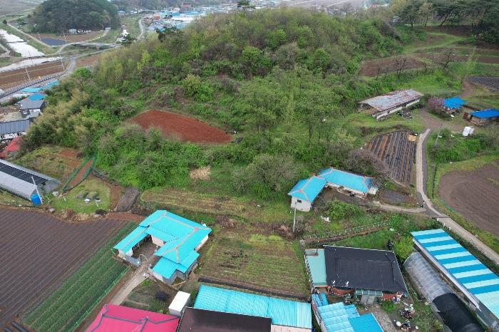 2024타경469 법원경매 사진3 | 충남 청양군 대지 경매