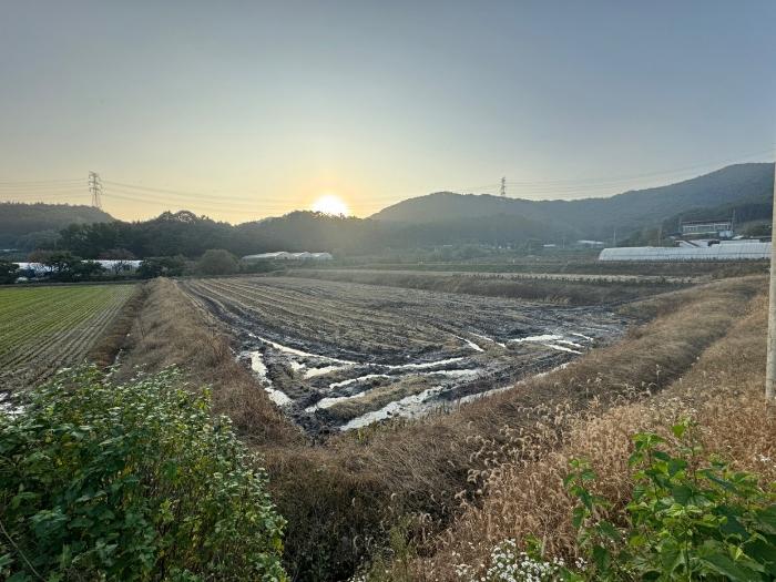 법원경매 2024타경1240 사진2 | 청양군 정산면 용두리 480-3 답 경매