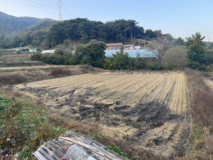 법원경매 2024타경1240 사진3 | 청양군 정산면 용두리 480-3 답 경매