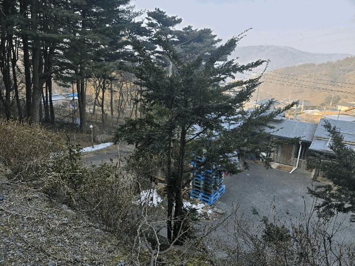 2024타경92674 법원경매 사진7 | 경기 포천시 주택건물 경매