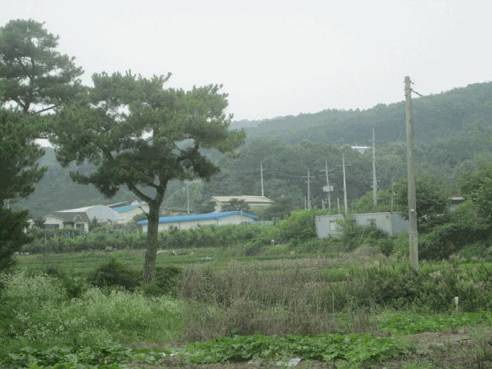 경기도 여주시 점동면 처리 588 법원경매 물건 대표사진