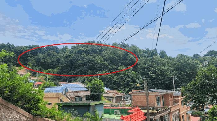 법원경매 2025타경263 사진2 | 고성군 거진읍 거진리 175-1 임야 경매
