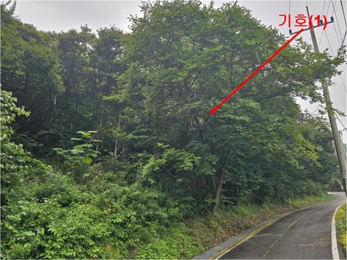 법원경매 2024타경4419 사진2 | 양평군 강상면 송학리 임야 경매