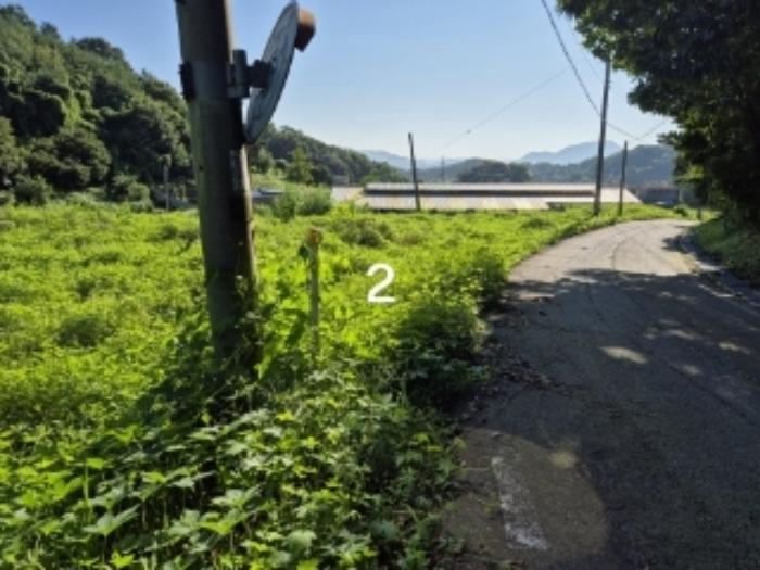법원경매 2024타경4419 사진4 | 양평군 강상면 송학리 임야 경매