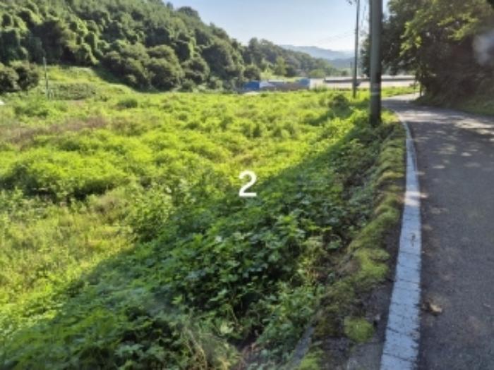 법원경매 2024타경4419 사진5 | 양평군 강상면 송학리 임야 경매