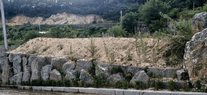 2025타경2647 법원경매 사진28 | 청주 서원구 임야 경매