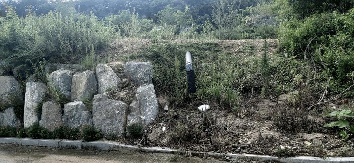 2025타경2647 법원경매 사진37 | 청주 서원구 임야 경매