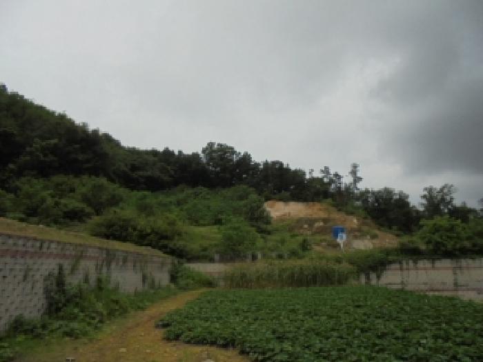 2025타경2647 법원경매 사진44 | 청주 서원구 임야 경매