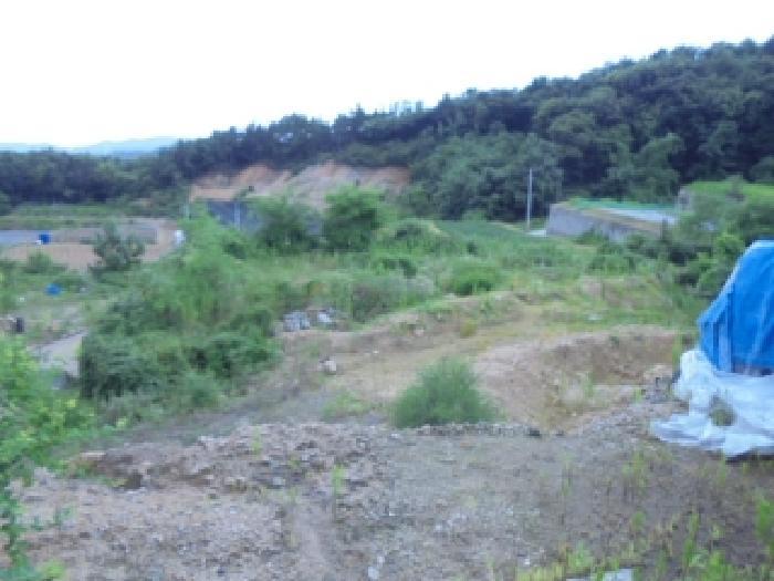 2025타경2647 법원경매 사진46 | 청주 서원구 임야 경매