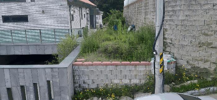2025타경2647 법원경매 사진5 | 청주 서원구 임야 경매