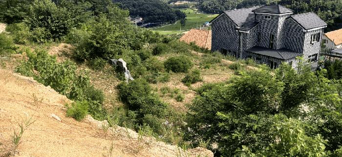 2025타경2647 법원경매 사진7 | 청주 서원구 임야 경매