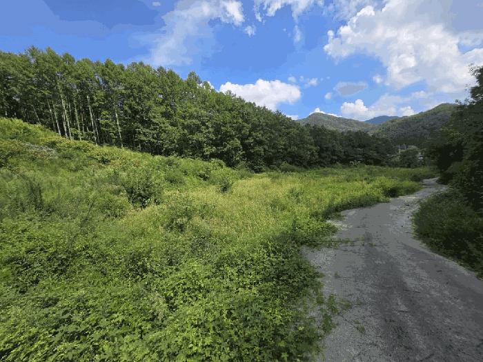 충청북도 보은군 보은읍 종곡리 111 법원경매 물건 대표사진