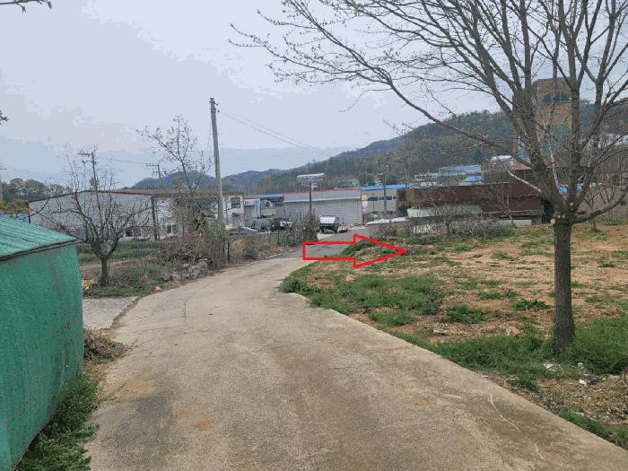 법원경매 2025타경671 사진2 | 칠곡군 약목면 관호리 320 전 경매