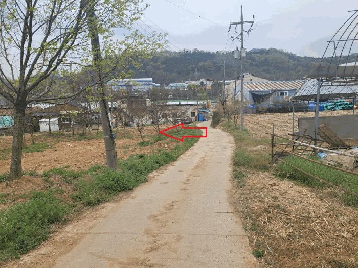 법원경매 2025타경671 사진4 | 칠곡군 약목면 관호리 320 전 경매