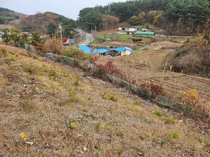 2024타경60938 법원경매 사진2 | 충남 태안군 임야 경매