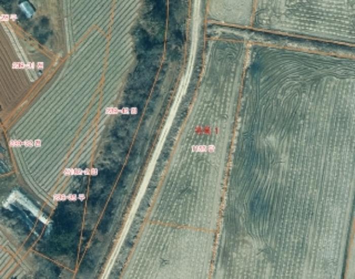 2024타경61566 법원경매 사진2 | 충남 태안군 답 경매