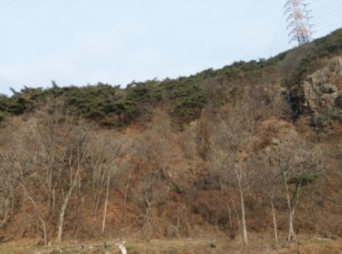 2024타경61573 법원경매 사진3 | 충남 당진시 임야 경매