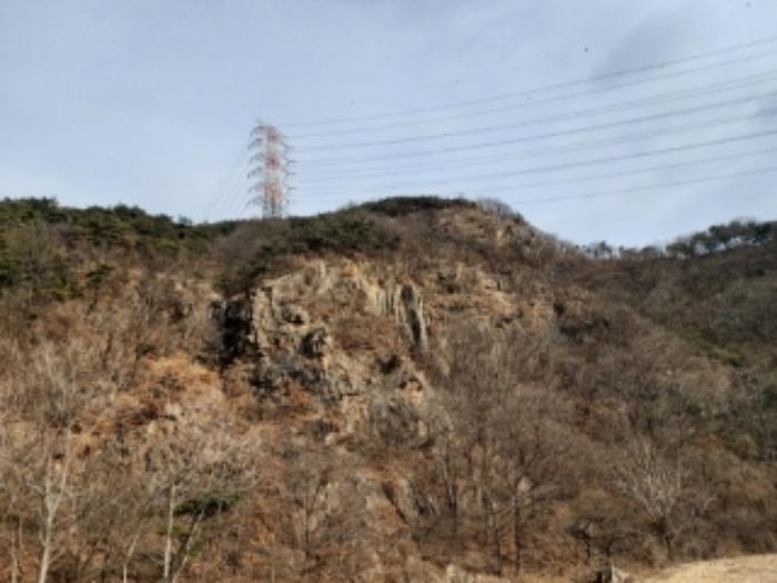 2024타경61573 법원경매 사진4 | 충남 당진시 임야 경매