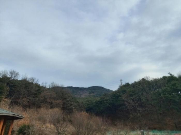 2024타경61573 법원경매 사진5 | 충남 당진시 임야 경매