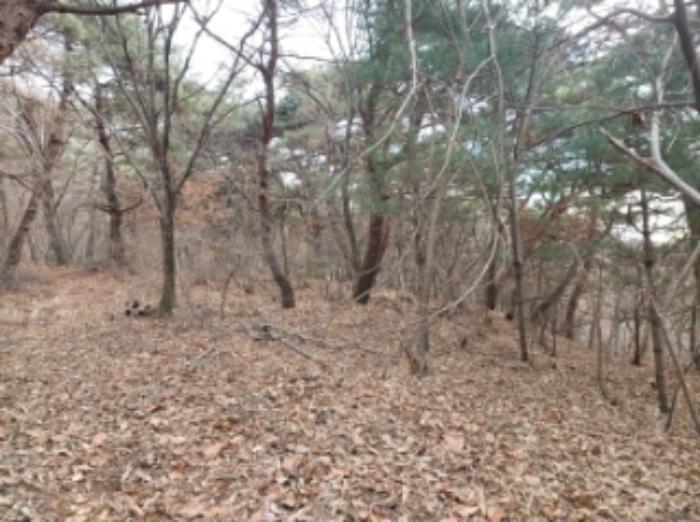 2024타경61573 법원경매 사진7 | 충남 당진시 임야 경매