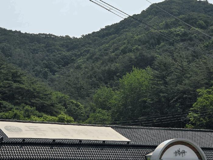 2025타경32837 법원경매 사진2 | 전남 화순군 임야 경매