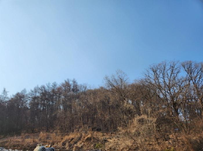 법원경매 2025타경764 사진5 | 양주시 남면 황방리 임야 경매